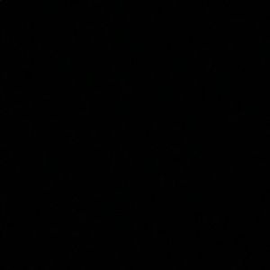 Meet your Posher, Gracie